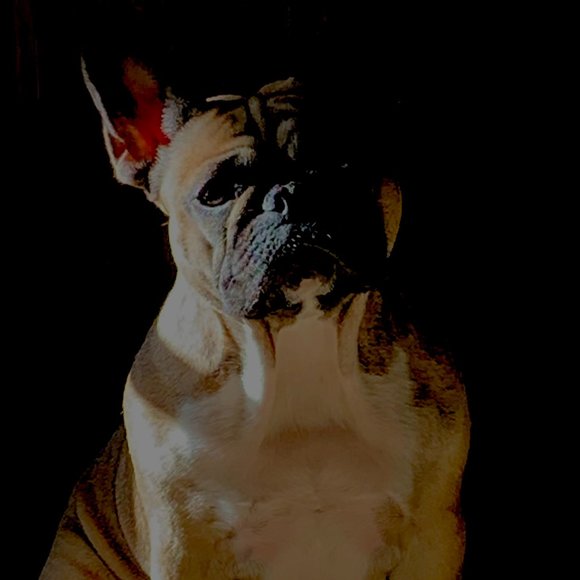 Meet your Posher, Chrissy - Picture 1 of 8